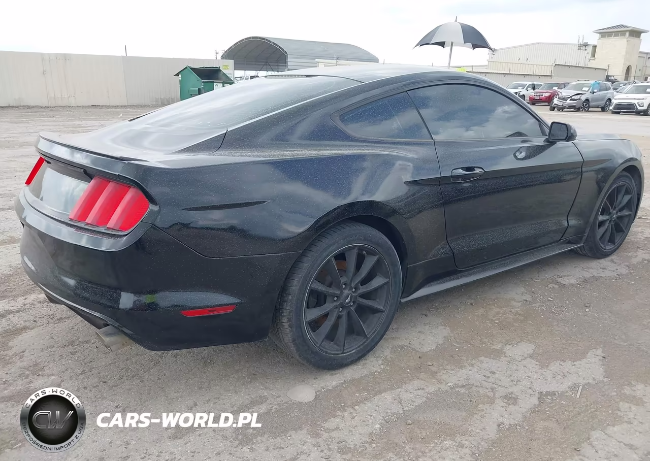 2015 Ford Mustang V6 VIN:1FA6P8AM1F5318989 - 4