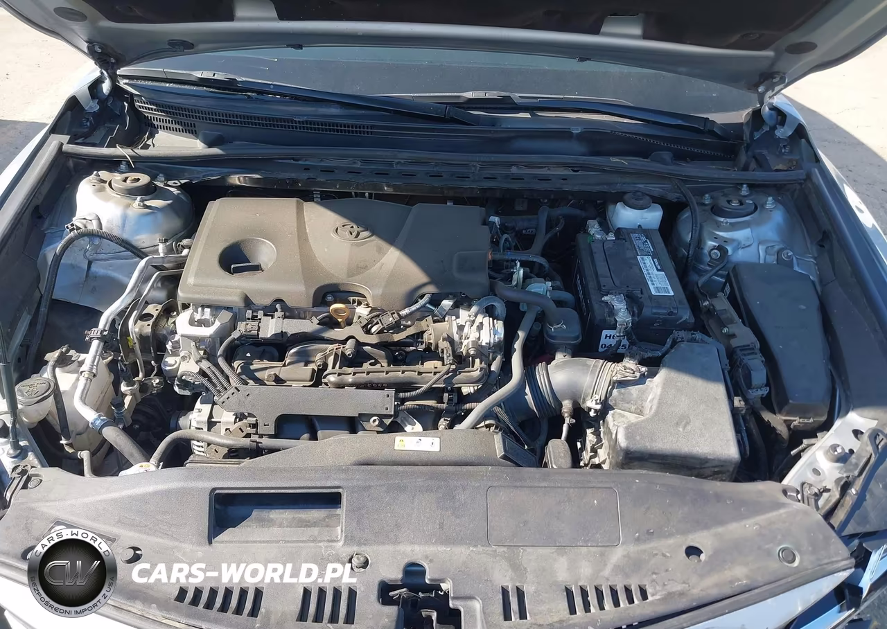 2023 Toyota Camry Le VIN:4T1C11AK3PU155768 - 10