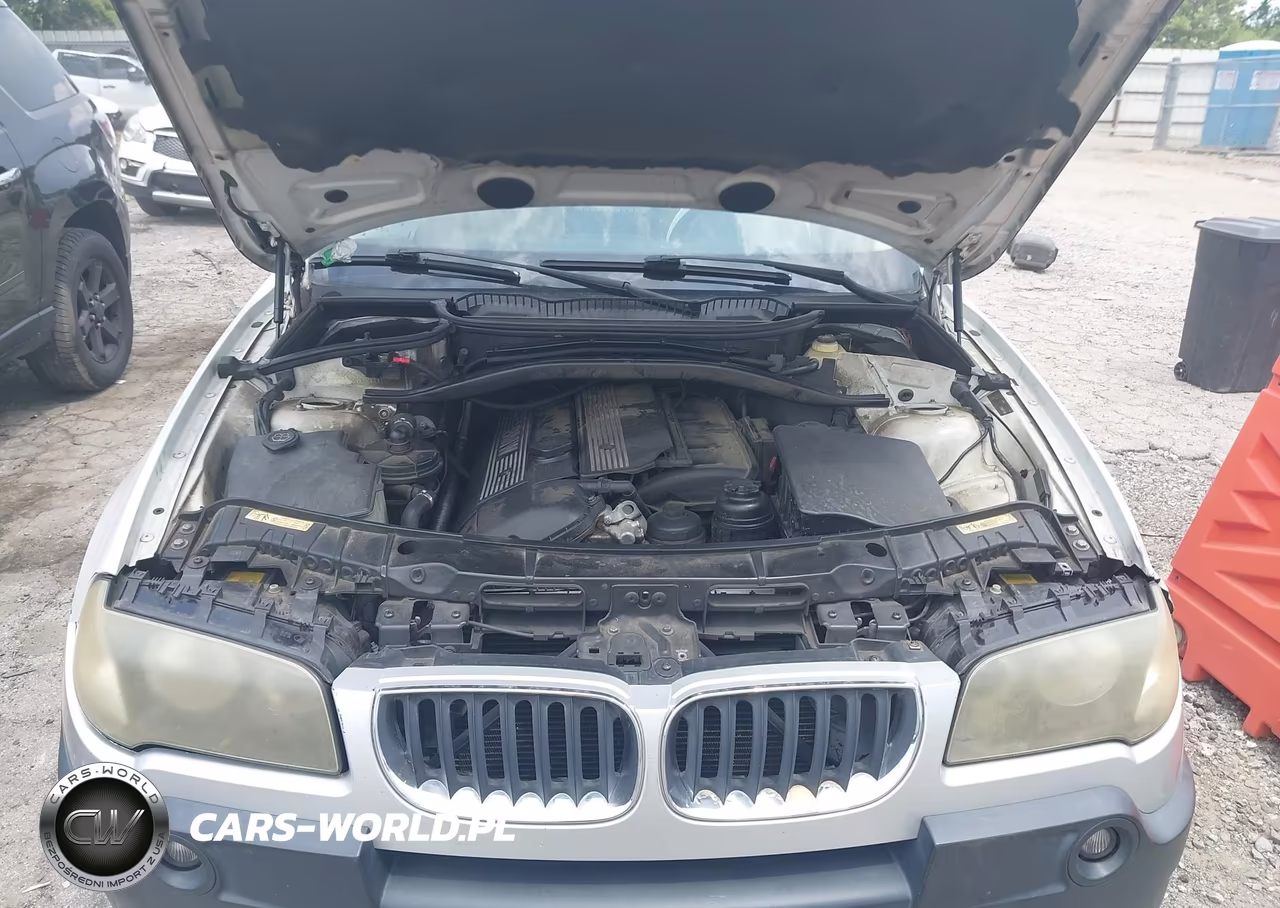 2006 BMW X3 3.0I VIN:WBXPA93456WG88698 - 10