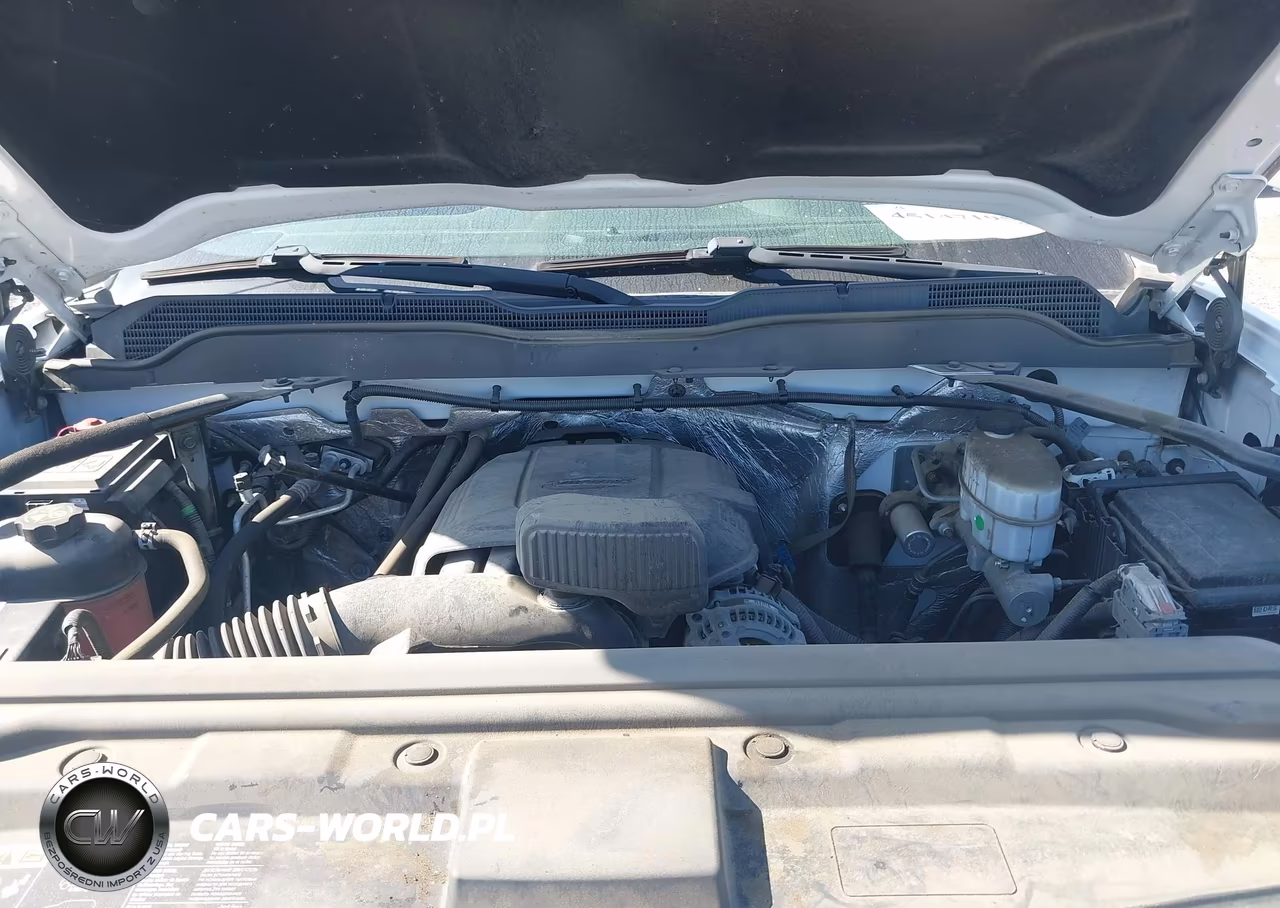 2018 Chevrolet Silverado 2500Hd Wt VIN:1GC2CUEG4JZ282458 - 10