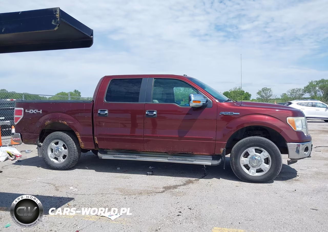 2010 Ford F-150 Fx4-Harley-Davidson-King Ranch-Lariat-Platinum-Xl-Xlt VIN:1FTFW1EV4AFD63774 - 13