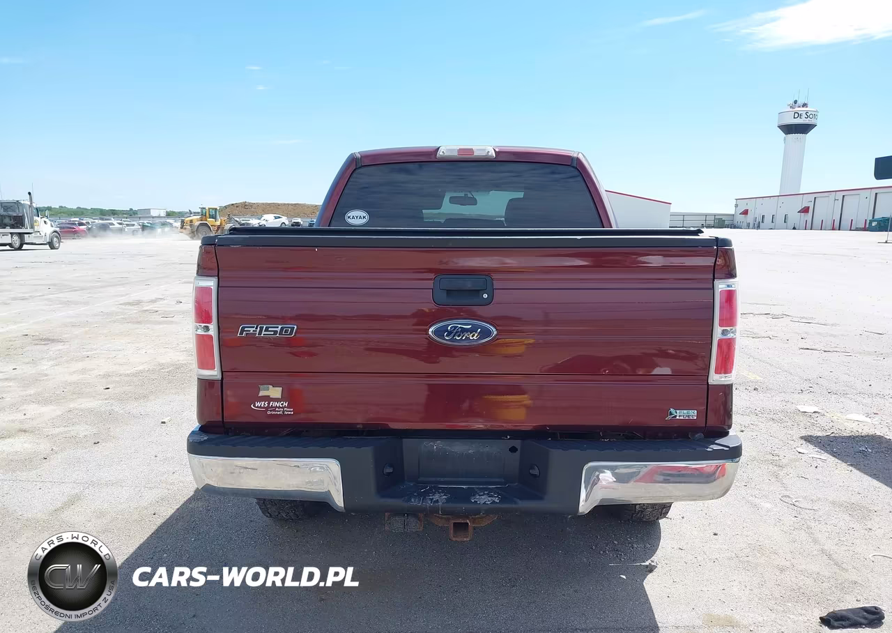 2010 Ford F-150 Fx4-Harley-Davidson-King Ranch-Lariat-Platinum-Xl-Xlt VIN:1FTFW1EV4AFD63774 - 16