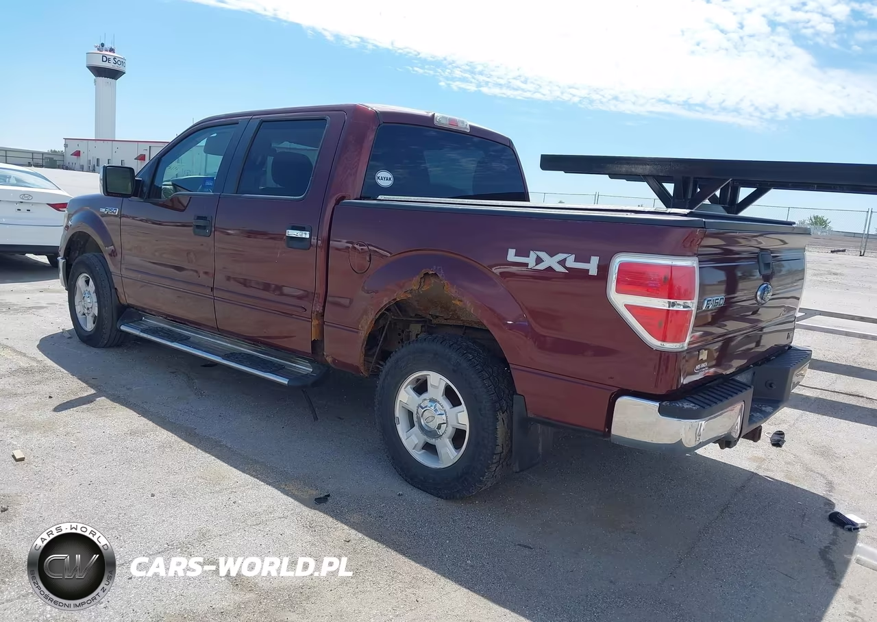 2010 Ford F-150 Fx4-Harley-Davidson-King Ranch-Lariat-Platinum-Xl-Xlt VIN:1FTFW1EV4AFD63774 - 3