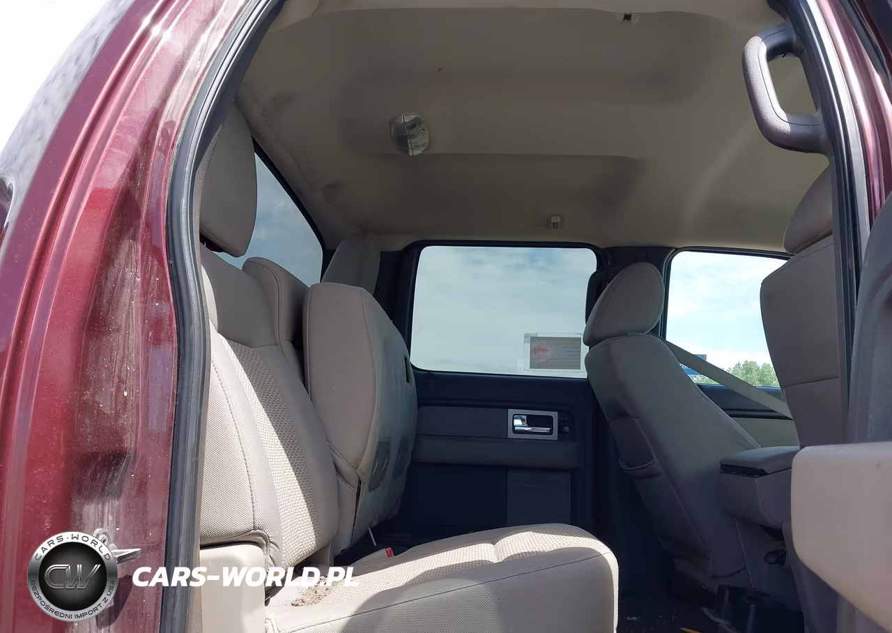 2010 Ford F-150 Fx4-Harley-Davidson-King Ranch-Lariat-Platinum-Xl-Xlt VIN:1FTFW1EV4AFD63774 - 8