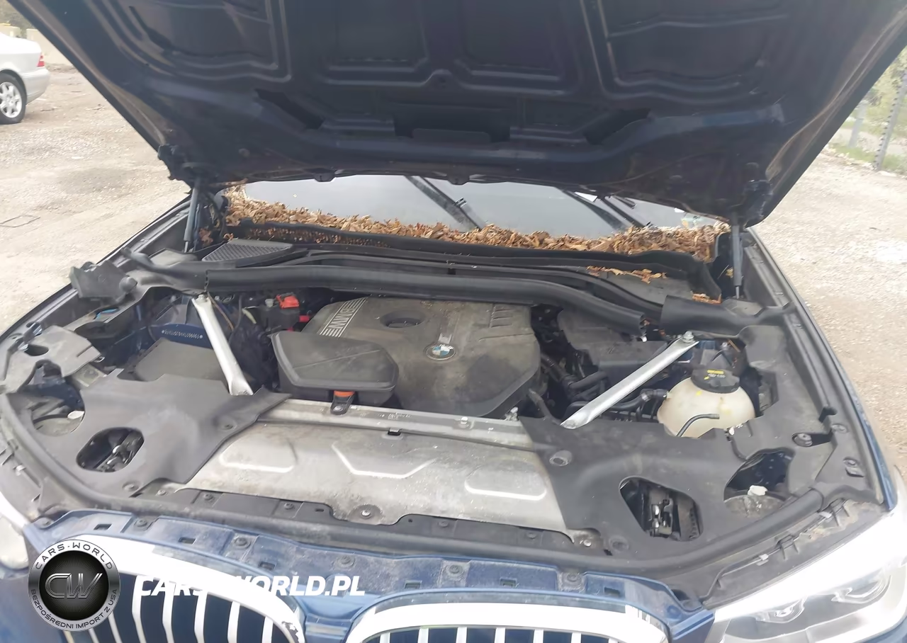 2019 BMW X4 xDrive30I VIN:5UXUJ3C5XKLG56863 - 10