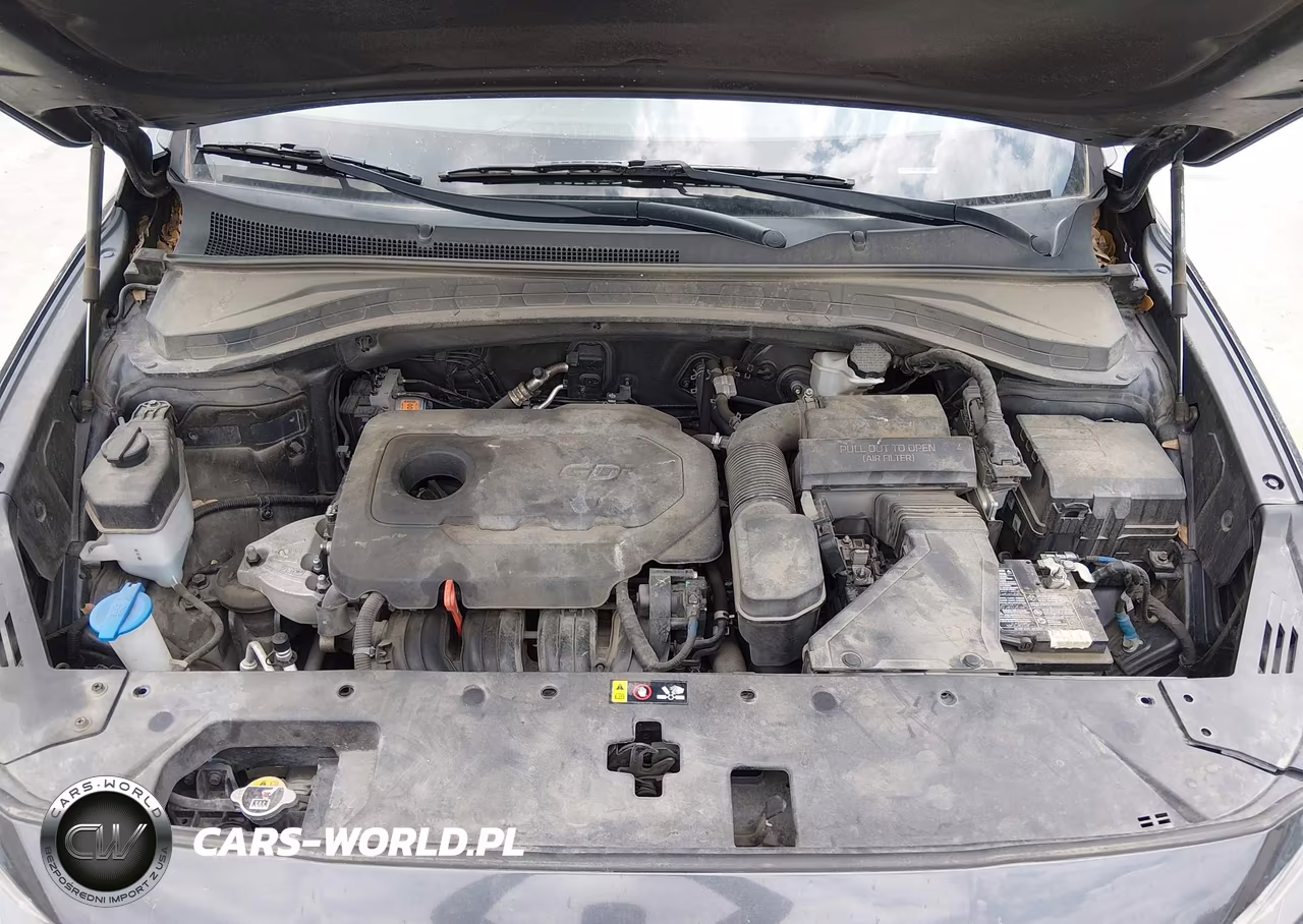 2020 Hyundai Santa Fe Sel VIN:5NMS33AD0LH217023 - 10