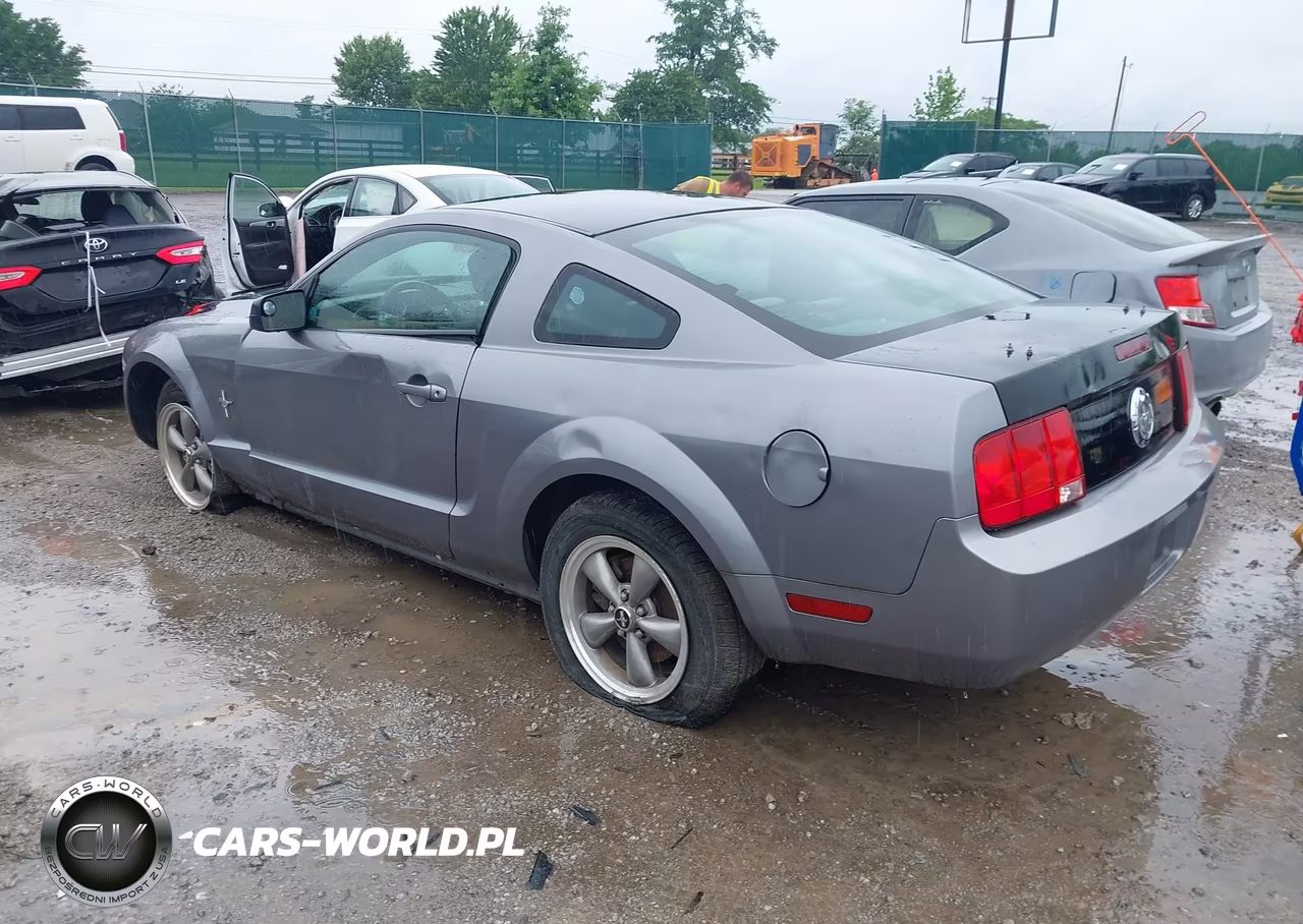 2006 Ford Mustang V6 VIN:1ZVFT80N965205935 - 3