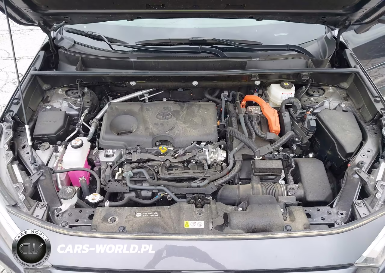 2025 Toyota Rav4 Hybrid Xle VIN:JTMRWRFV5SJ070877 - 10