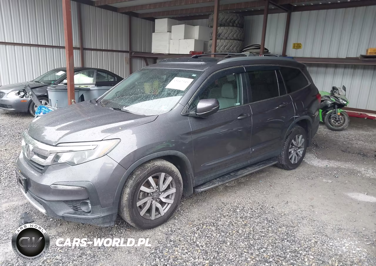 2019 Honda Pilot Ex-L VIN:5FNYF6H5XKB044564 - 2