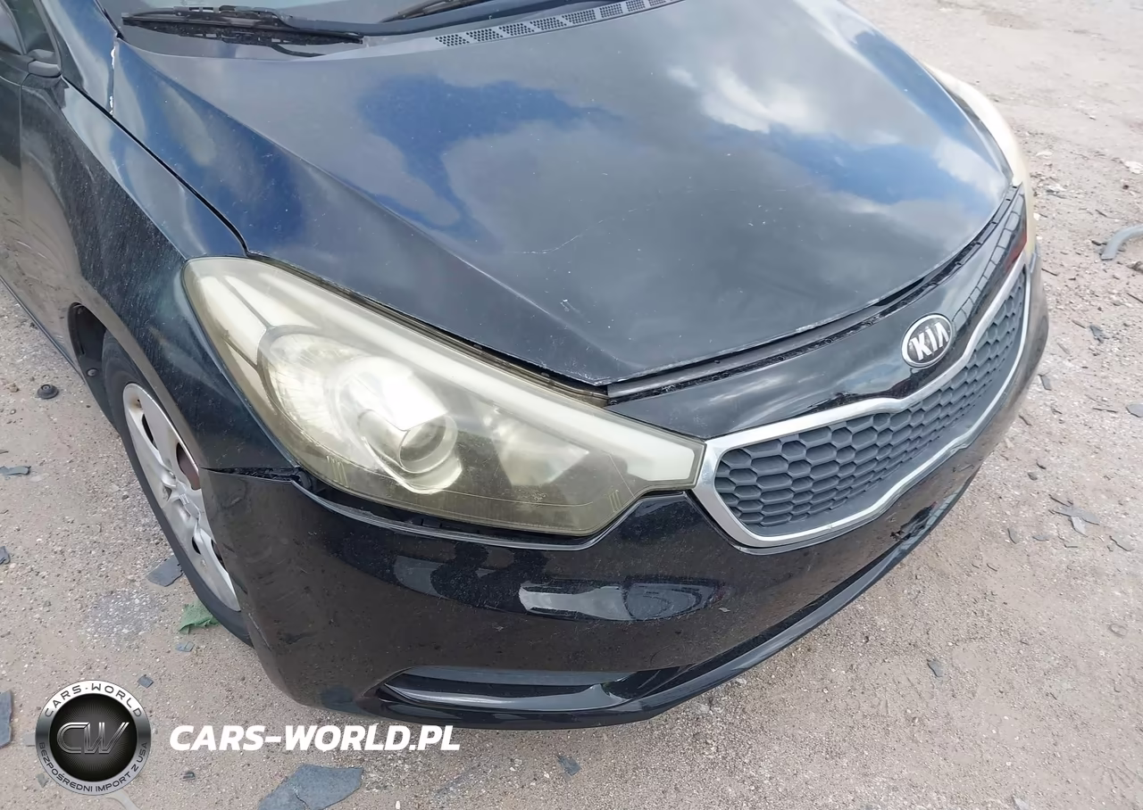 2016 Kia Forte Lx VIN:KNAFX4A68G5498913 - 6