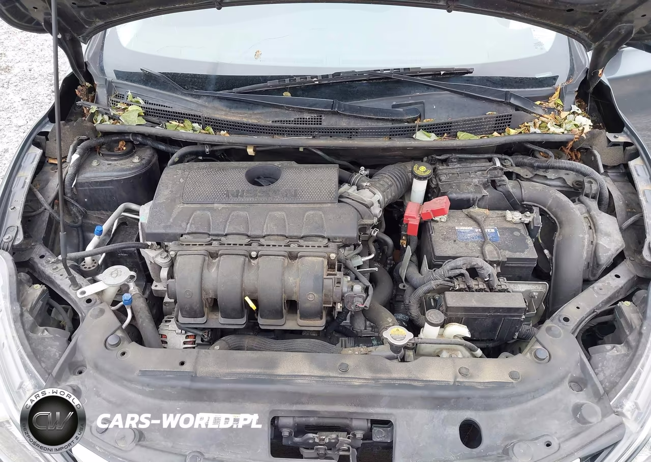2016 Nissan Sentra Fe+ S-S-Sl-Sr-Sv VIN:3N1AB7AP8GL639200 - 10