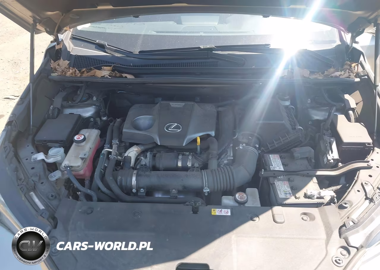 2020 Lexus Nx 300 VIN:JTJDARDZ2L5012702 - 10
