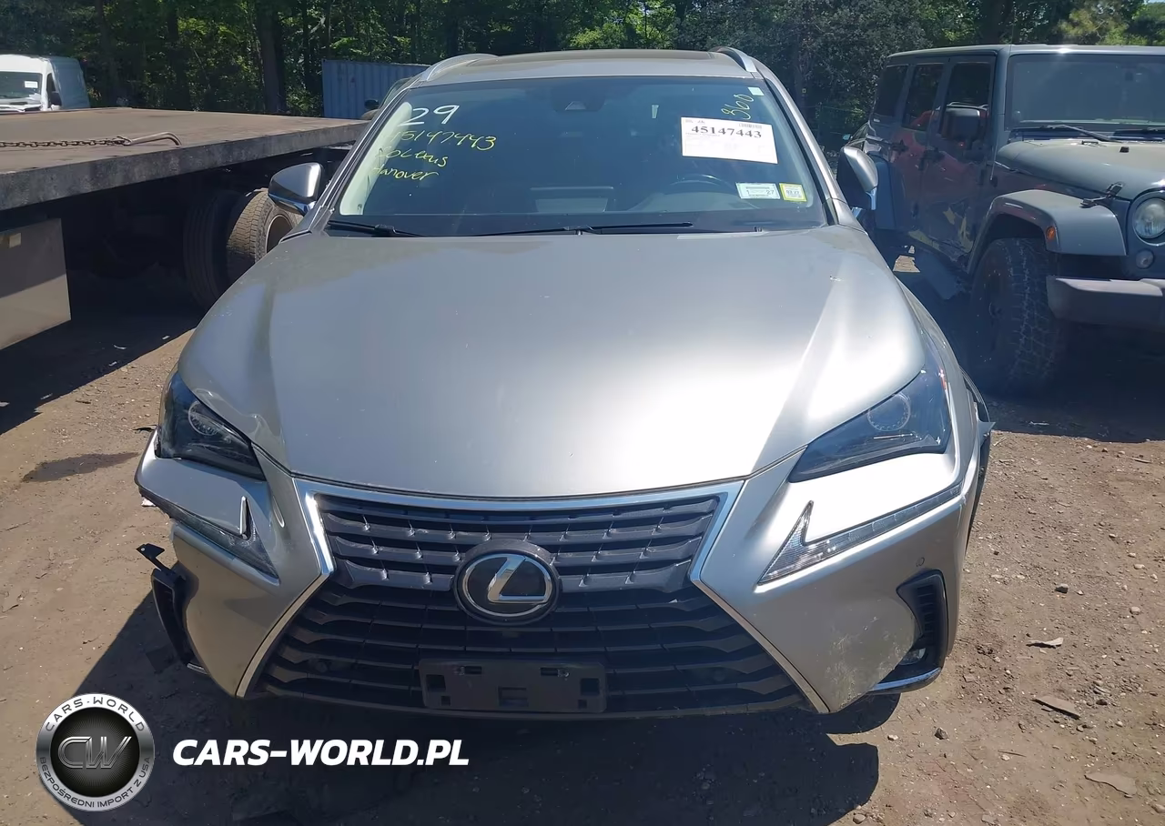 2020 Lexus Nx 300 VIN:JTJDARDZ2L5012702 - 12