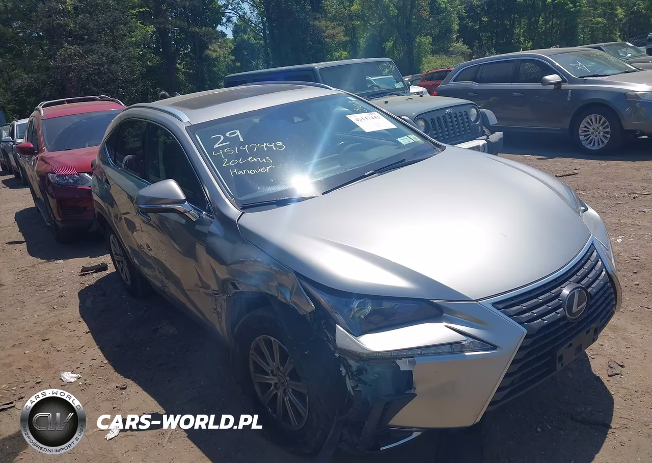 2020 Lexus Nx 300 VIN:JTJDARDZ2L5012702 - 13