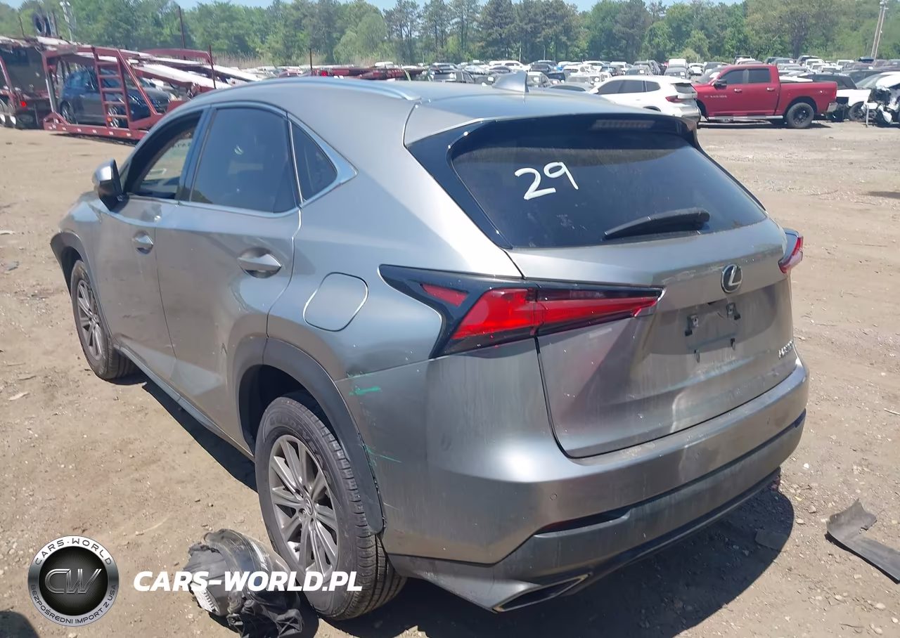 2020 Lexus Nx 300 VIN:JTJDARDZ2L5012702 - 14