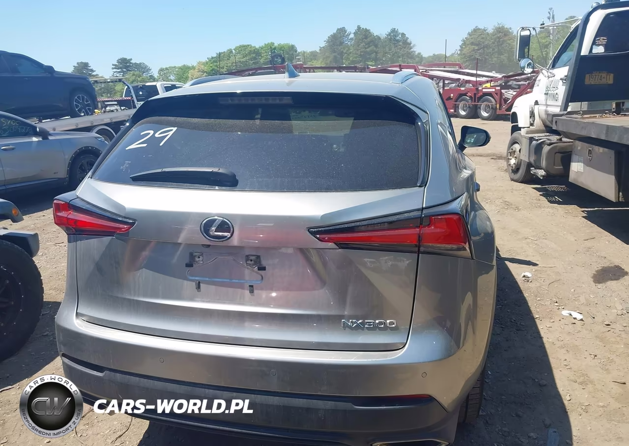 2020 Lexus Nx 300 VIN:JTJDARDZ2L5012702 - 16