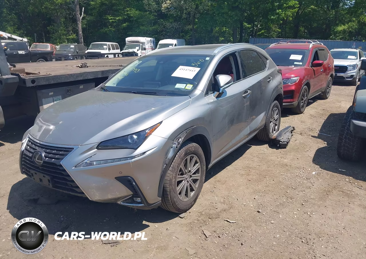 2020 Lexus Nx 300 VIN:JTJDARDZ2L5012702 - 2