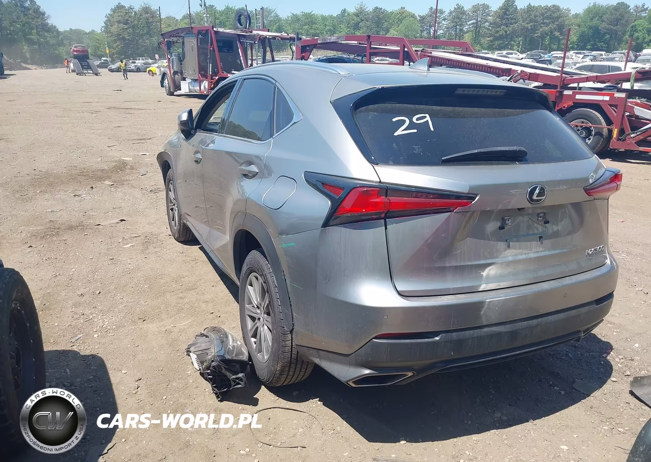 2020 Lexus Nx 300 VIN:JTJDARDZ2L5012702 - 3