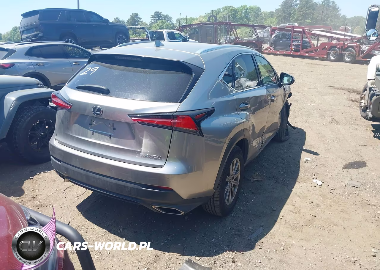 2020 Lexus Nx 300 VIN:JTJDARDZ2L5012702 - 4