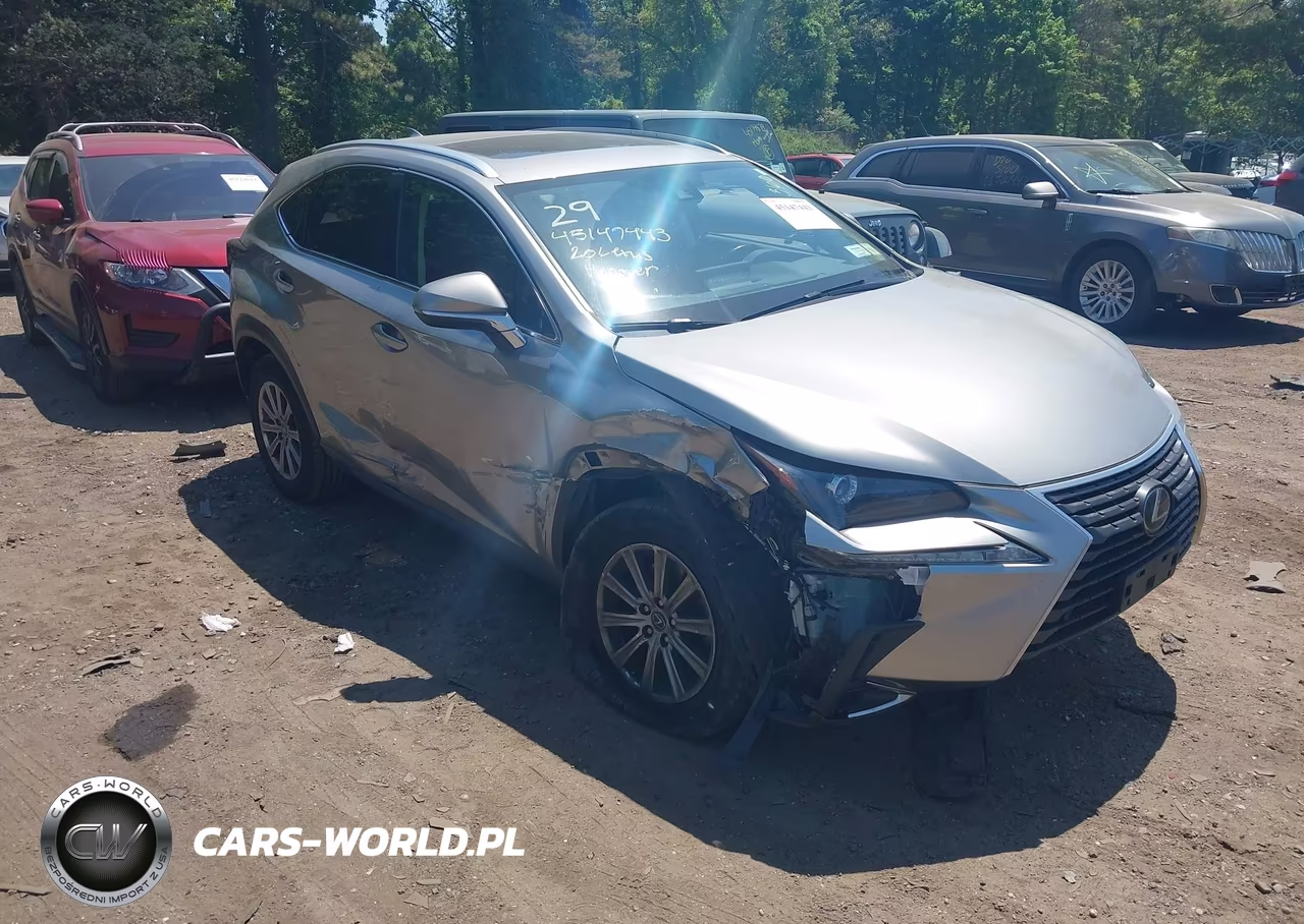 2020 Lexus Nx 300 VIN:JTJDARDZ2L5012702 - 6