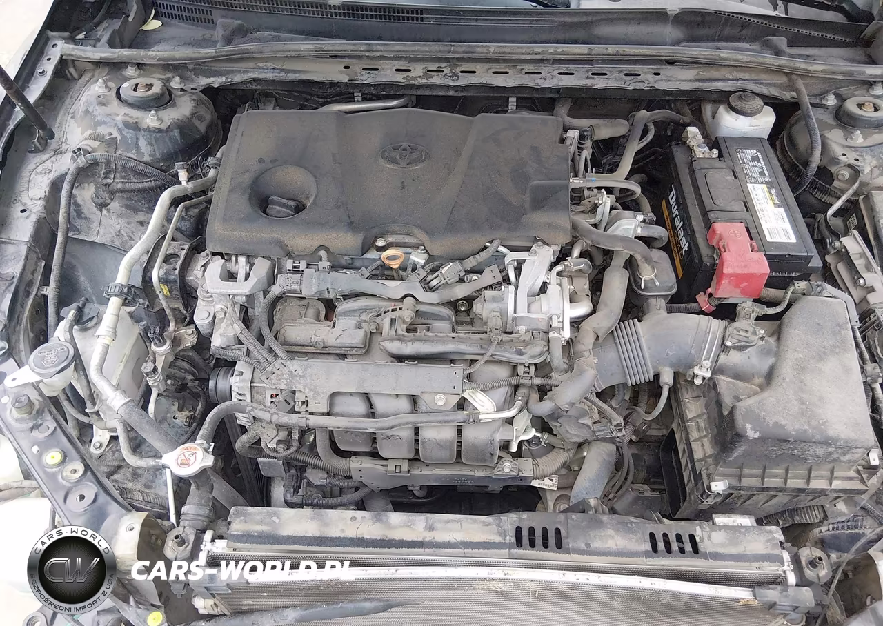 2019 Toyota Camry Le VIN:4T1B11HK6KU233213 - 10