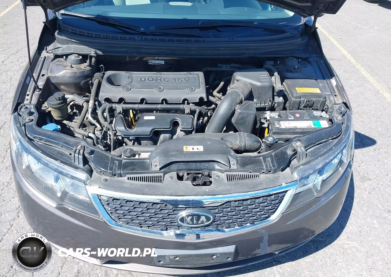 2013 Kia Forte Ex VIN:KNAFU5A25D5689728 - 10