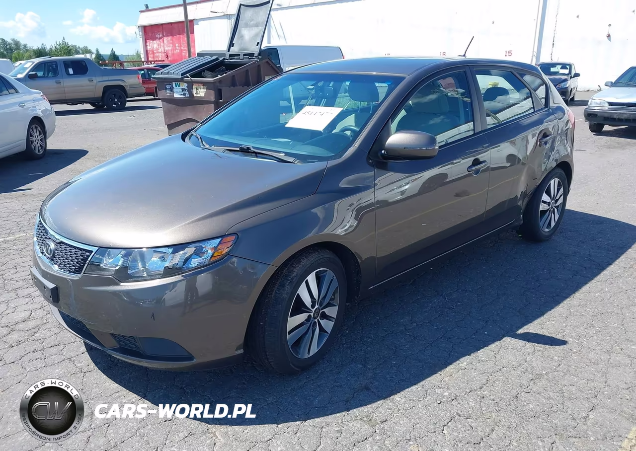 2013 Kia Forte Ex VIN:KNAFU5A25D5689728 - 2