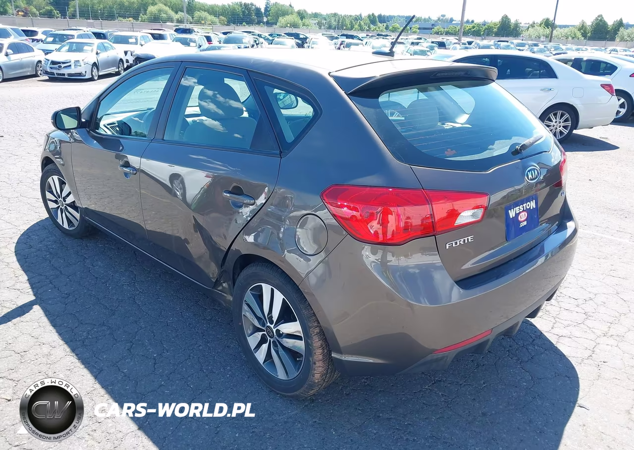 2013 Kia Forte Ex VIN:KNAFU5A25D5689728 - 3