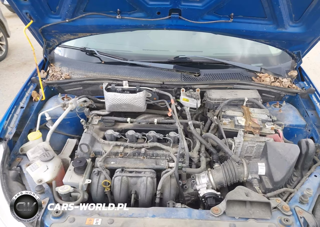 2011 Ford Focus VIN:1FAHP3EN5BW123450 - 10