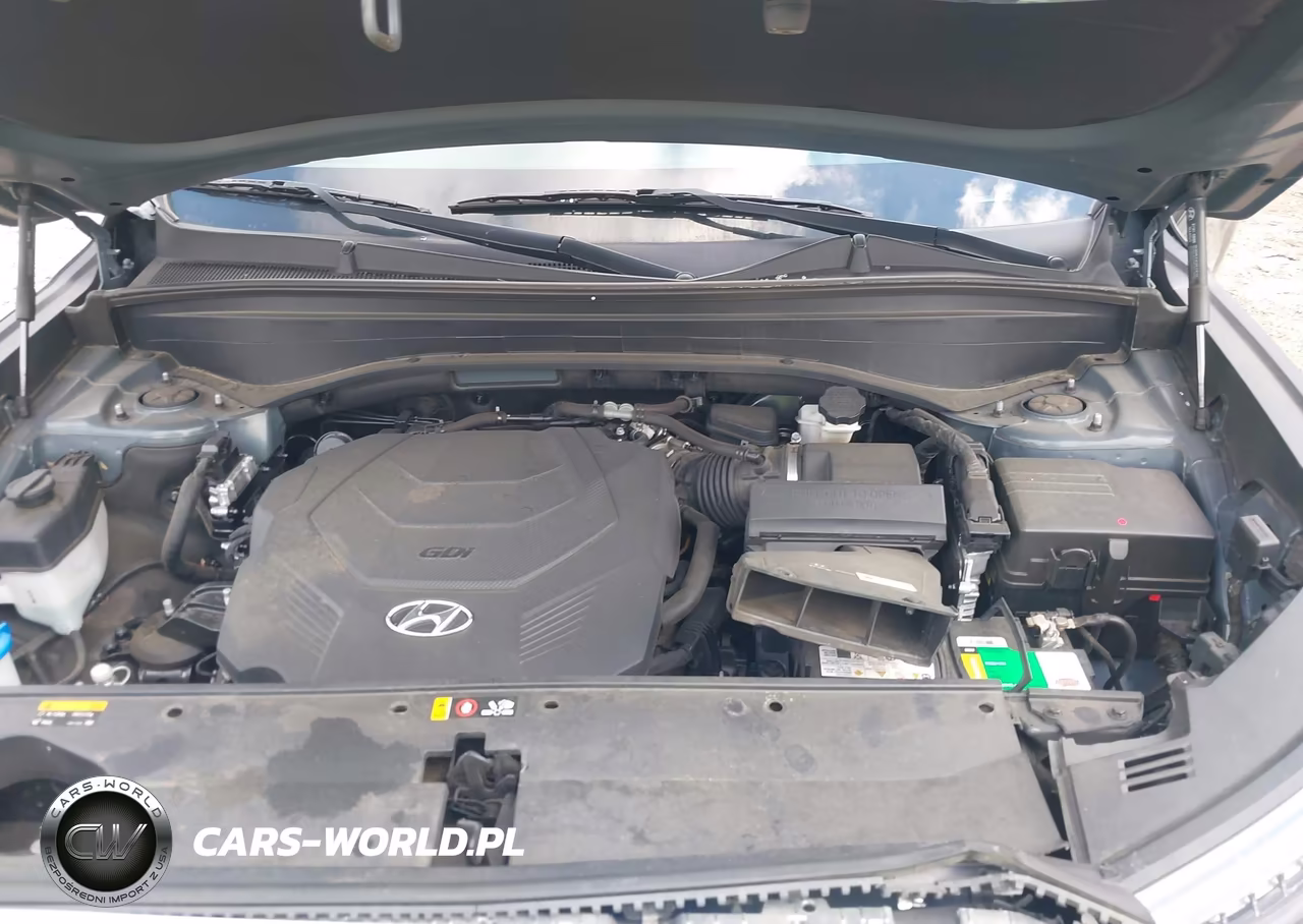 2020 Hyundai Palisade Sel VIN:KM8R34HE6LU093685 - 10