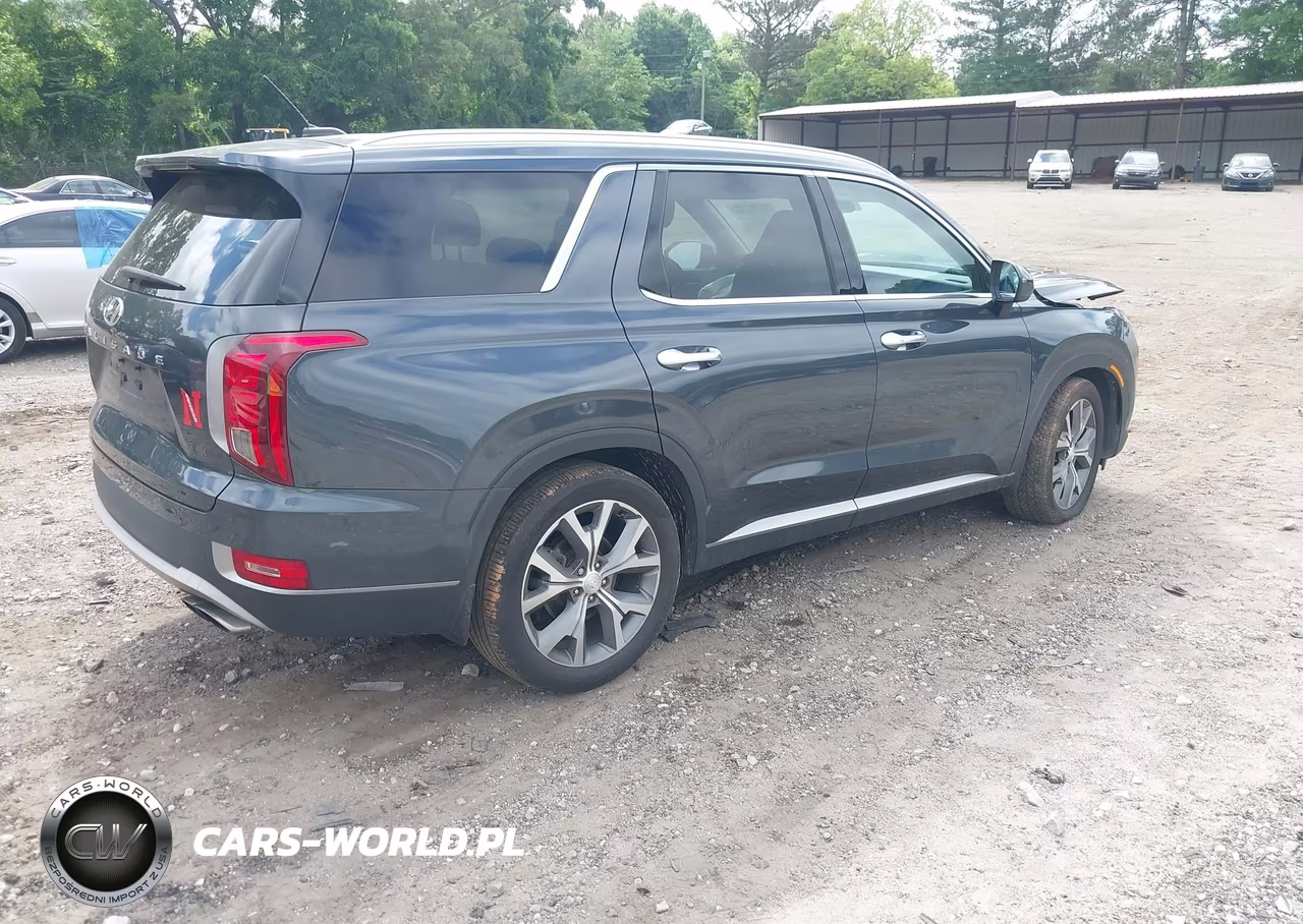2020 Hyundai Palisade Sel VIN:KM8R34HE6LU093685 - 4