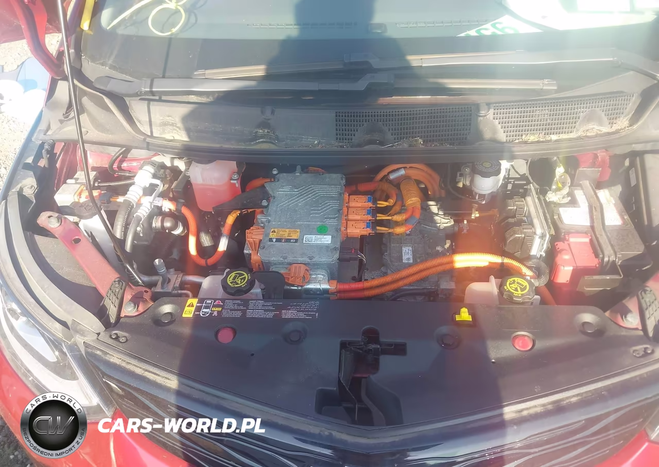 2020 Chevrolet Bolt Ev Fwd Premier VIN:1G1FZ6S04L4107798 - 10