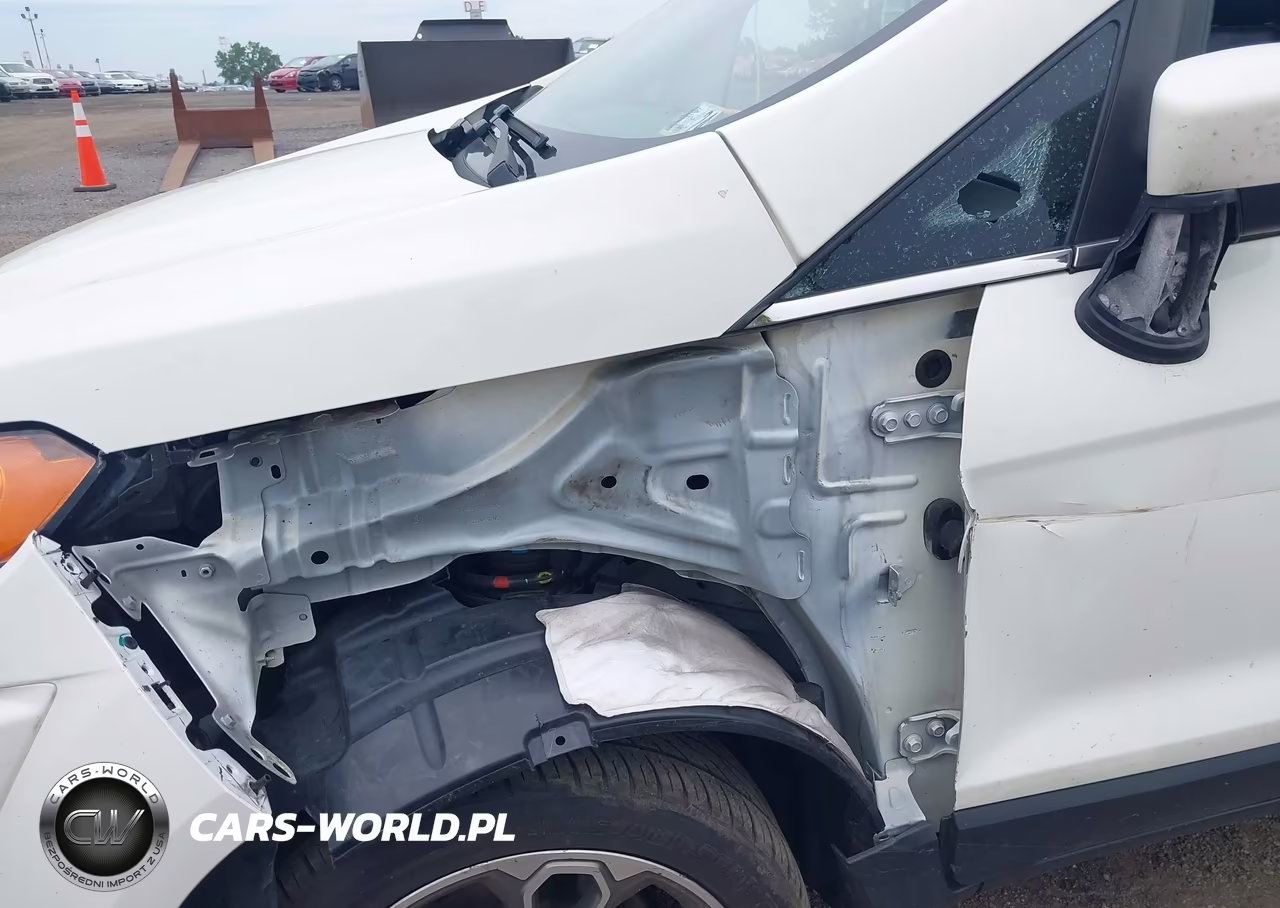 2020 Ford Ecosport Titanium VIN:MAJ6S3KL7LC338713 - 6