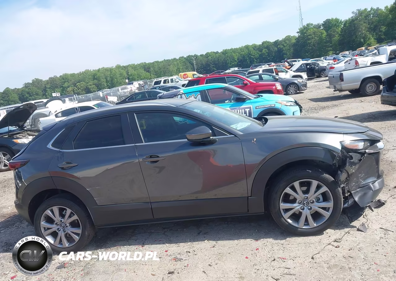2023 Mazda Cx-30 2.5 S Preferred VIN:3MVDMBCM3PM586537 - 13