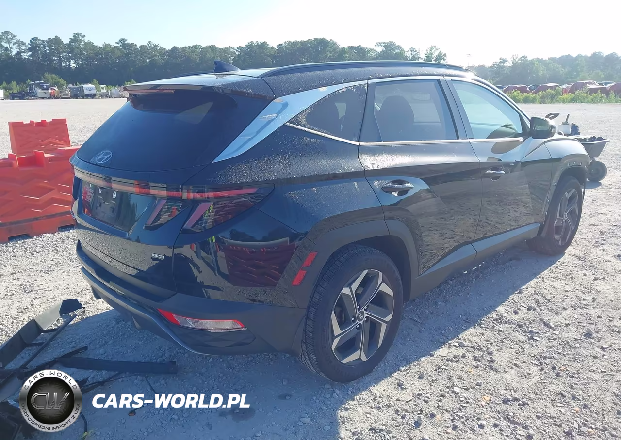 2022 Hyundai Tucson Limited VIN:KM8JECAEXNU054662 - 4