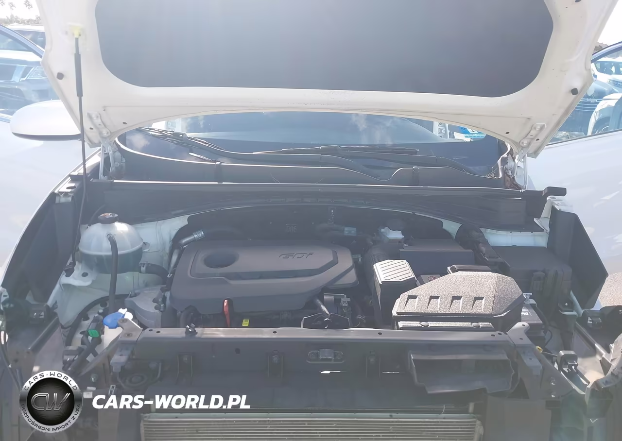 2020 Kia Sportage Lx VIN:KNDPMCAC7L7692671 - 10