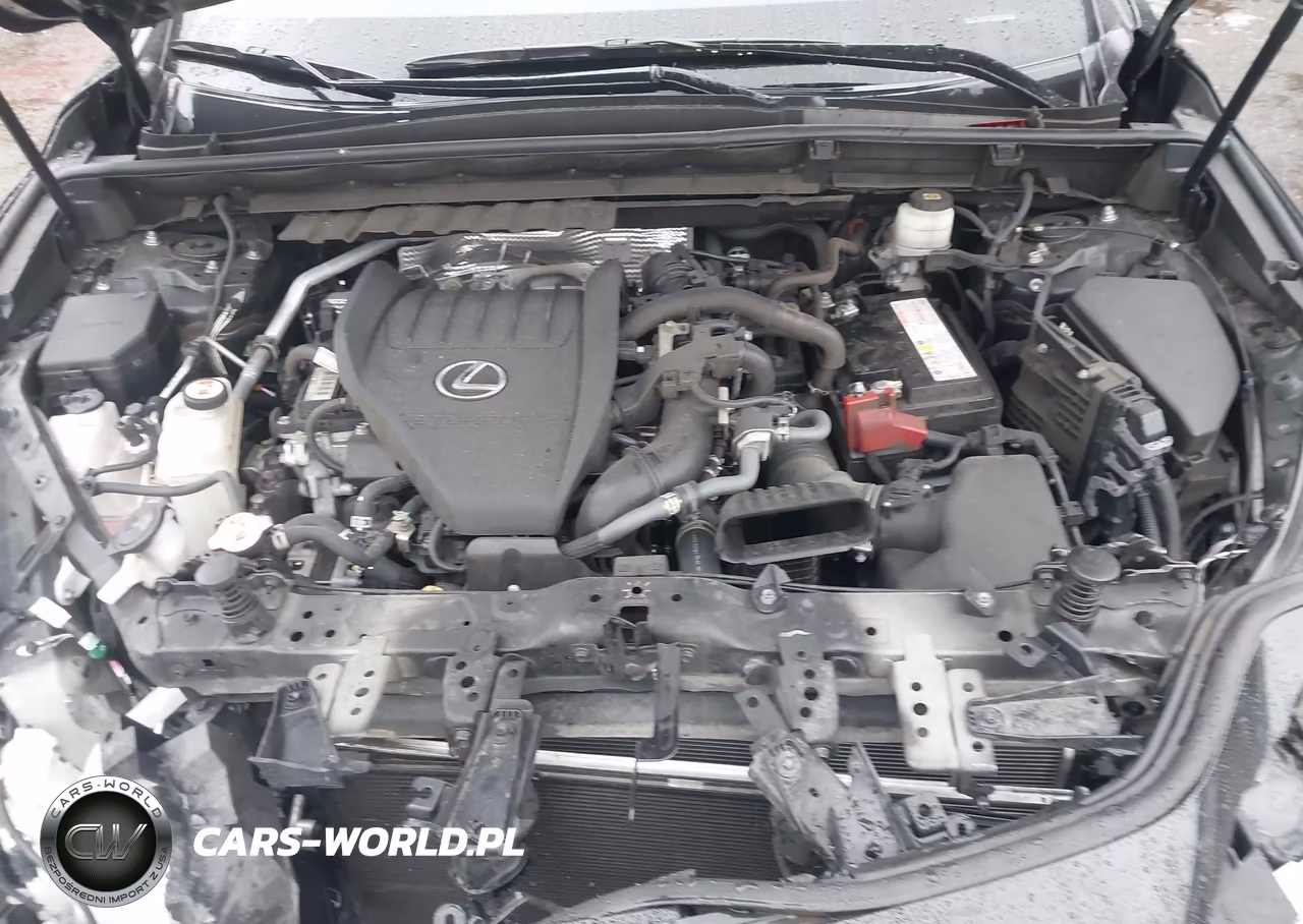 2024 Lexus Nx 350 VIN:JTJAGCEZXR5005812 - 10