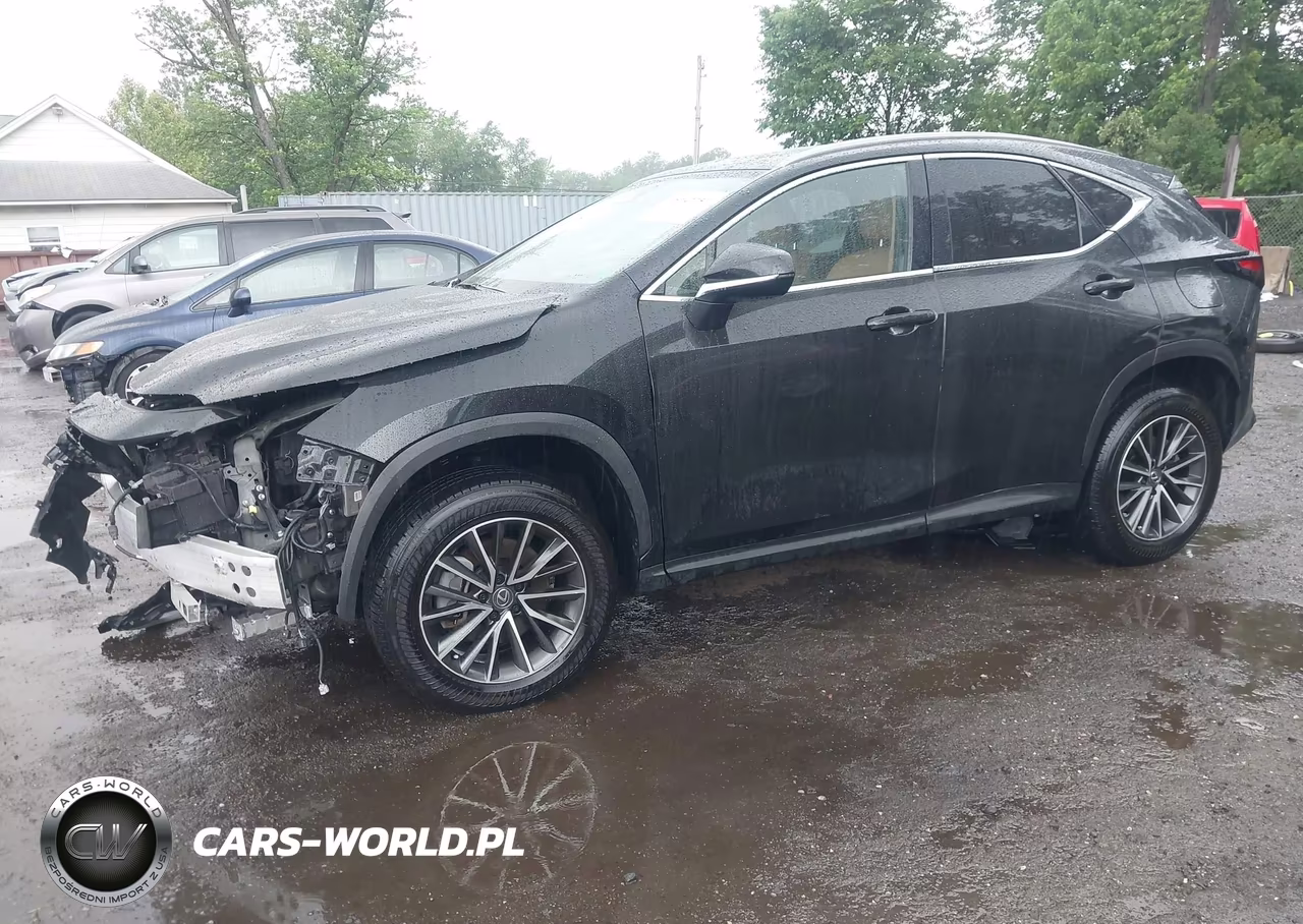 2024 Lexus Nx 350 VIN:JTJAGCEZXR5005812 - 2