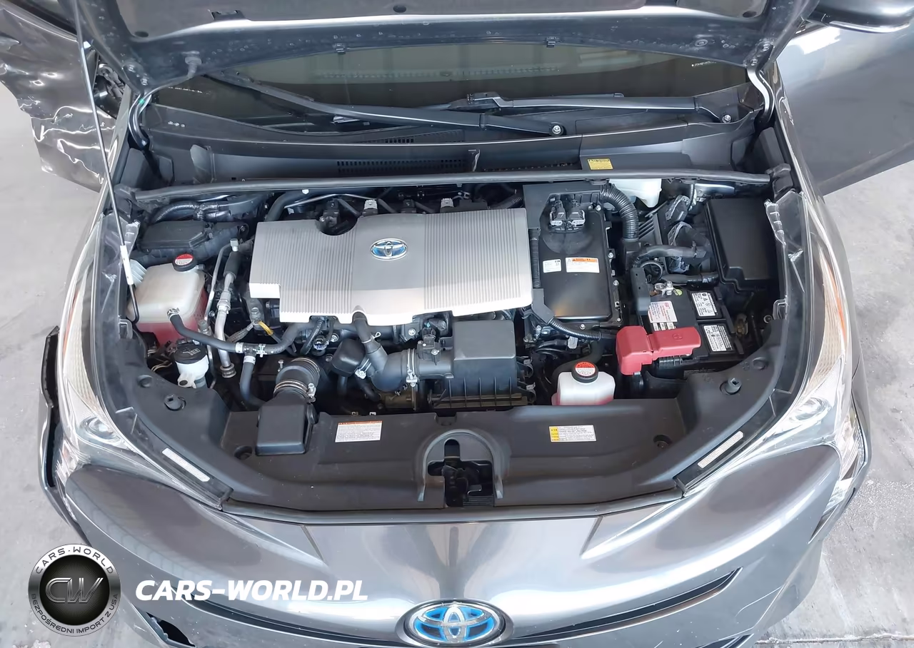 2016 Toyota Prius Three VIN:JTDKARFU4G3012925 - 10