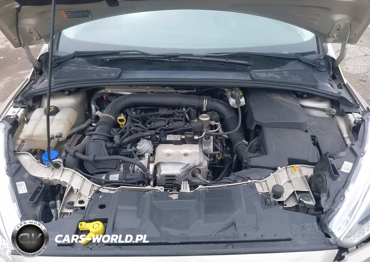 2018 Ford Focus Se VIN:1FADP3FE8JL245930 - 10