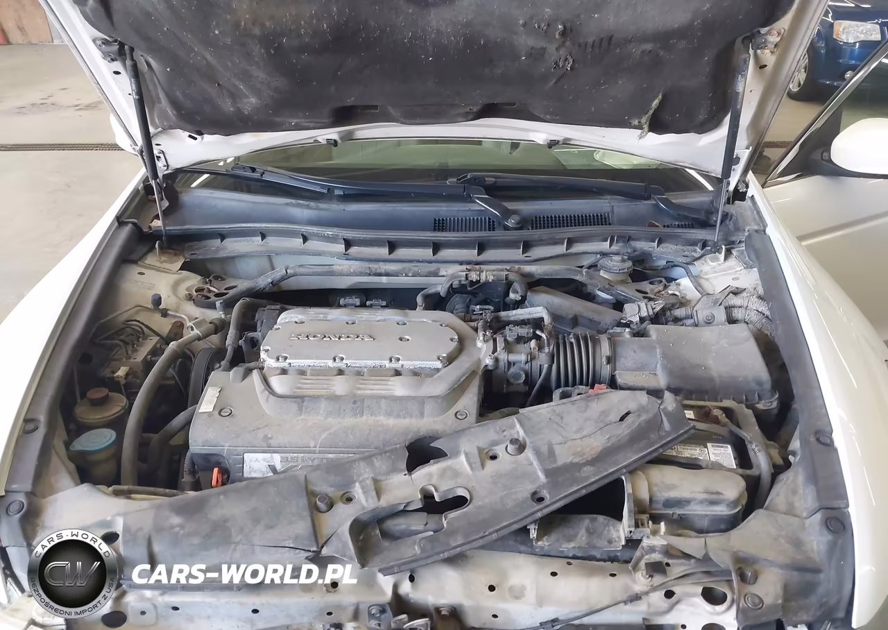2009 Honda Accord 3.5 Ex-L VIN:1HGCP36819A016983 - 10