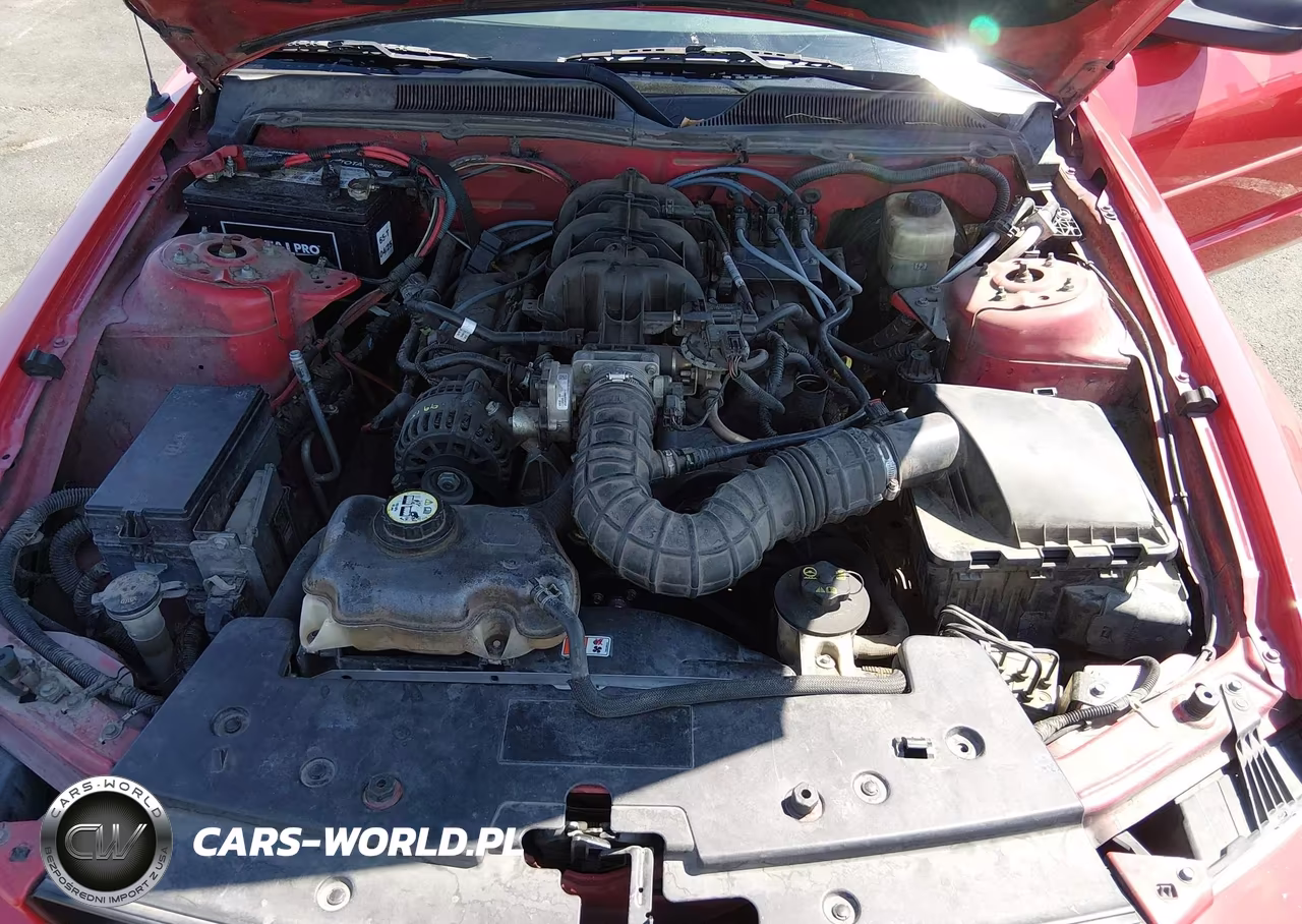 2006 Ford Mustang V6 VIN:1ZVFT84N065202528 - 10
