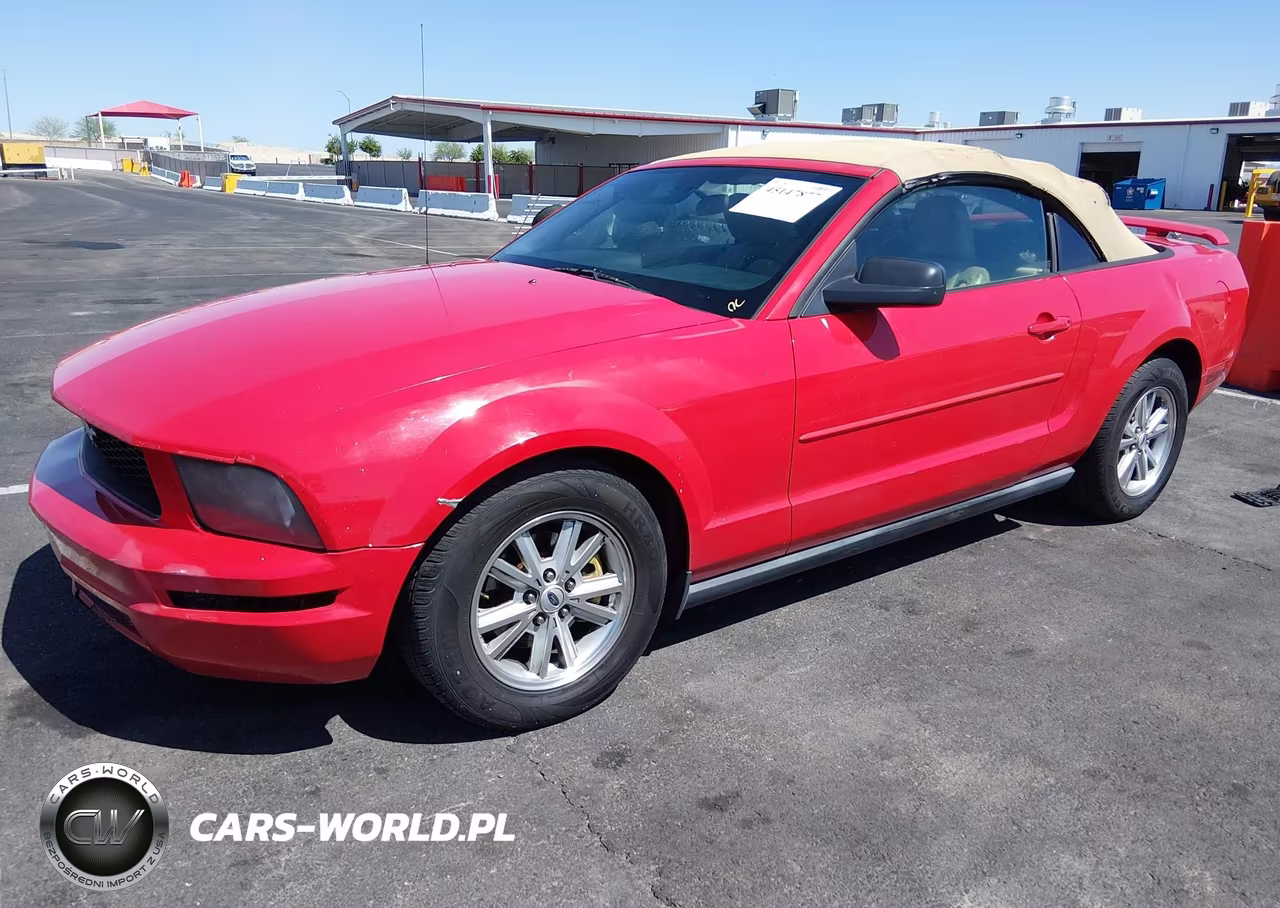 2006 Ford Mustang V6 VIN:1ZVFT84N065202528 - 2