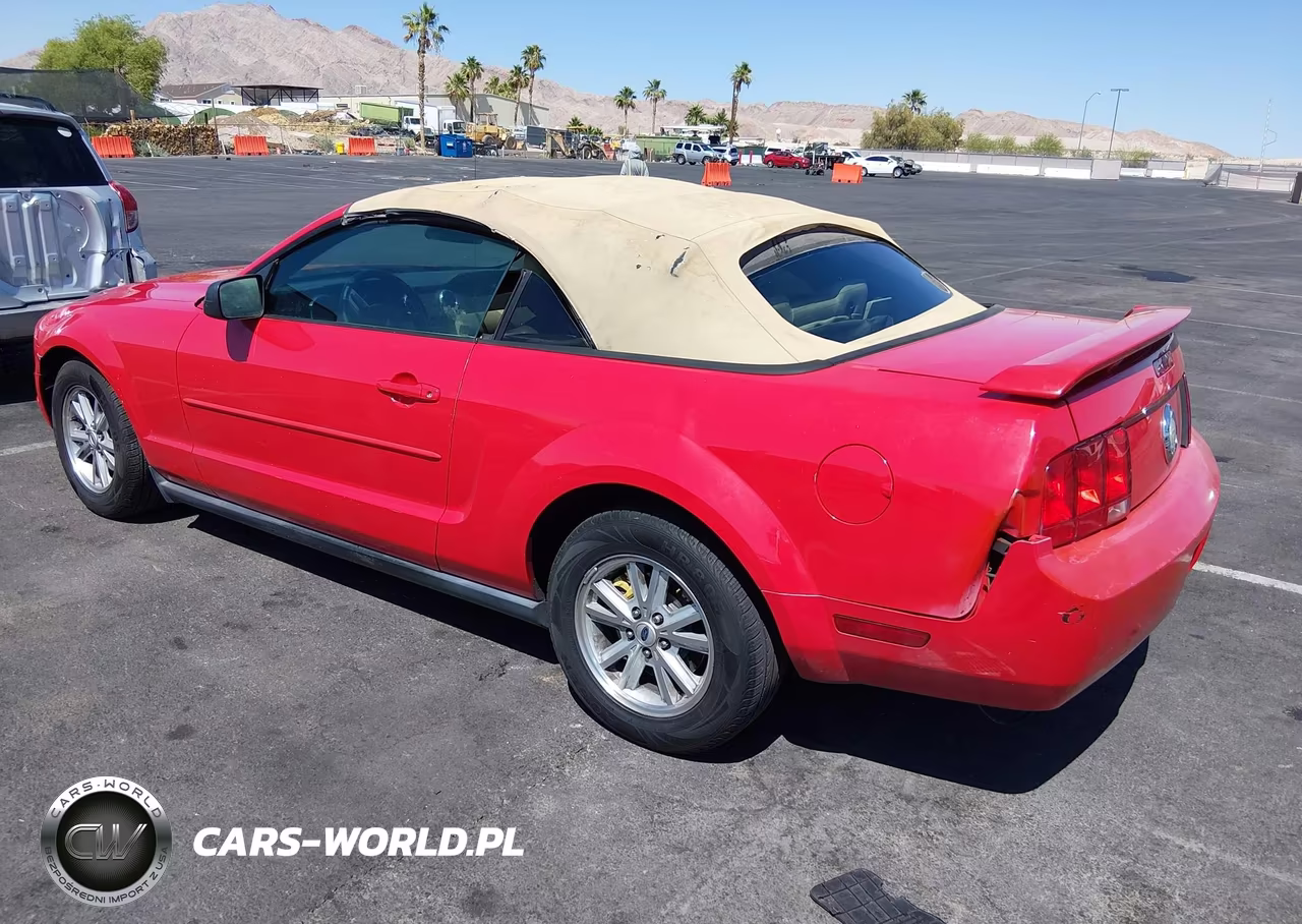 2006 Ford Mustang V6 VIN:1ZVFT84N065202528 - 3