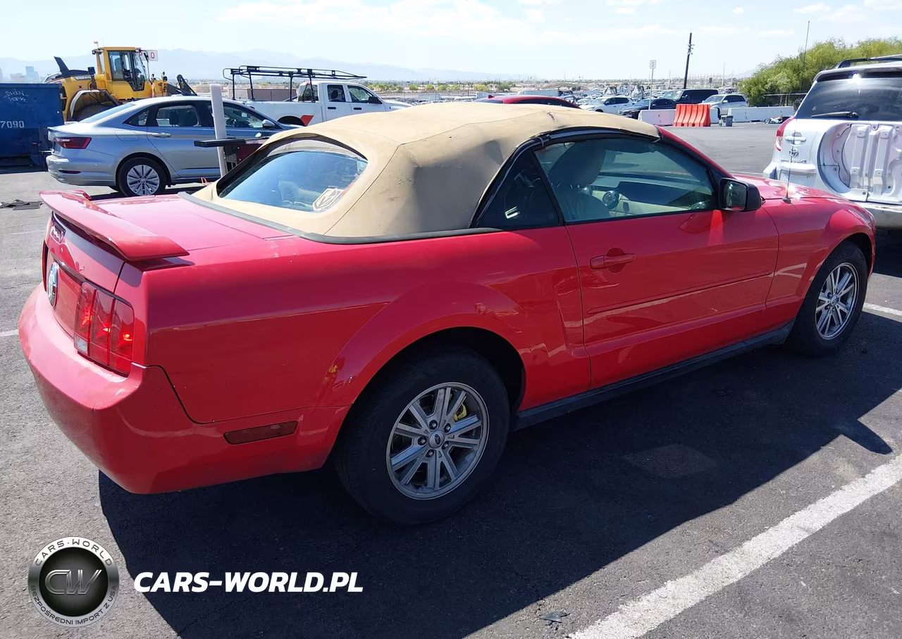 2006 Ford Mustang V6 VIN:1ZVFT84N065202528 - 4