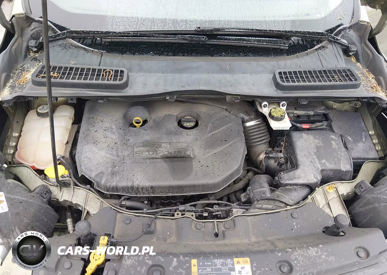 2013 Ford Escape Titanium VIN:1FMCU0J94DUC02154 - 10