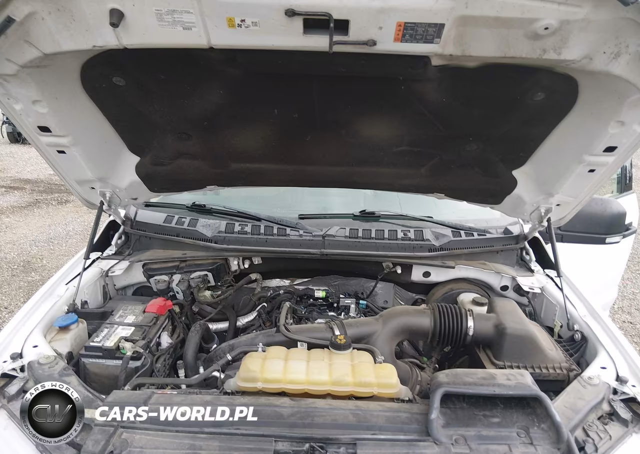 2019 Ford F-150 Xlt VIN:1FTEW1CP3KKD05874 - 10