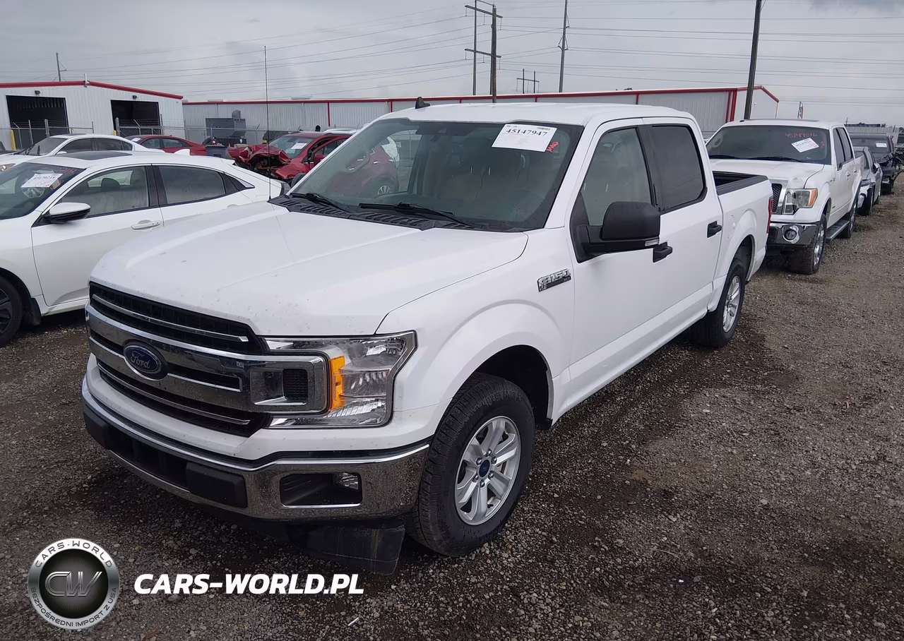 2019 Ford F-150 Xlt VIN:1FTEW1CP3KKD05874 - 2