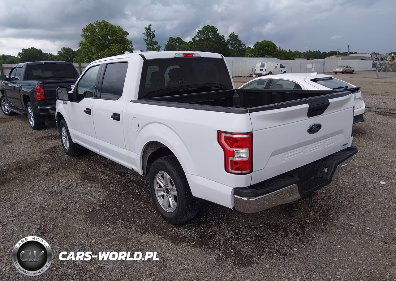 2019 Ford F-150 Xlt VIN:1FTEW1CP3KKD05874 - 3
