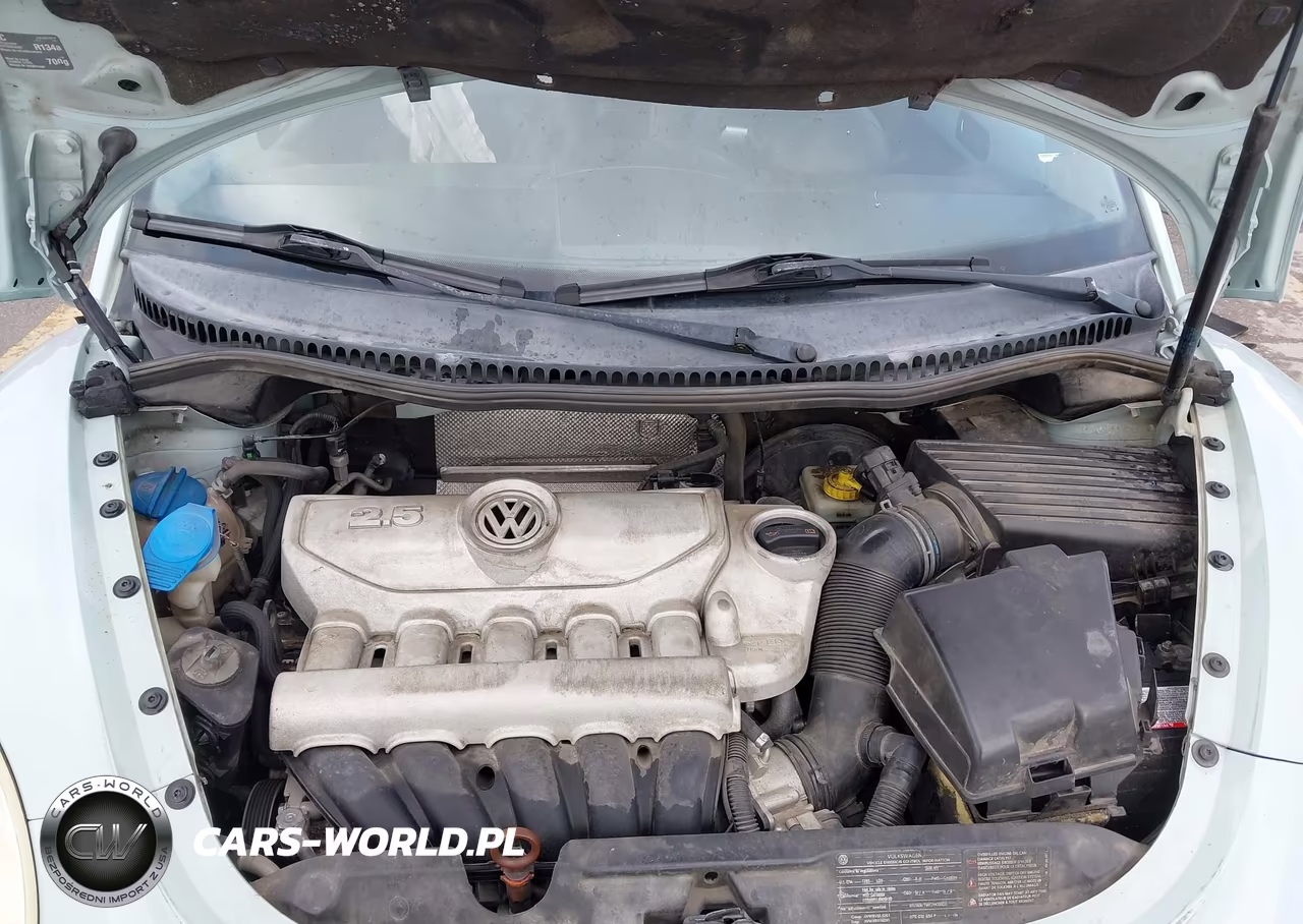 2010 Volkswagen New Beetle 2.5L Final Edition VIN:3VWRW3AG2AM023696 - 10